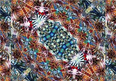 《英雄联盟手游》3.1版本“艾欧尼亚守护者”今日上线 新英雄、新赛季等